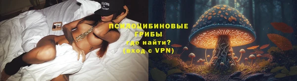 мяу мяу мука Абаза