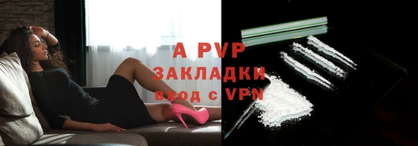 мяу мяу мука Абаза