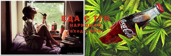тгк Абинск
