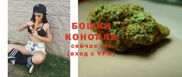 мяу мяу мука Абаза