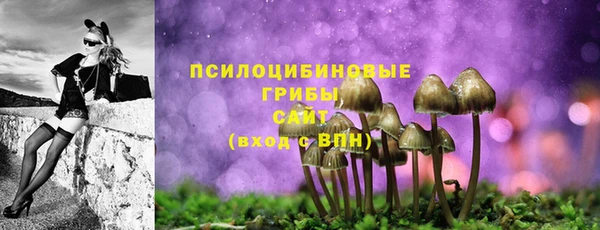 героин Осинники