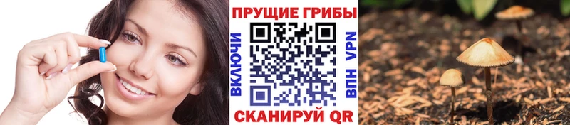 Псилоцибиновые грибы мицелий Кимовск